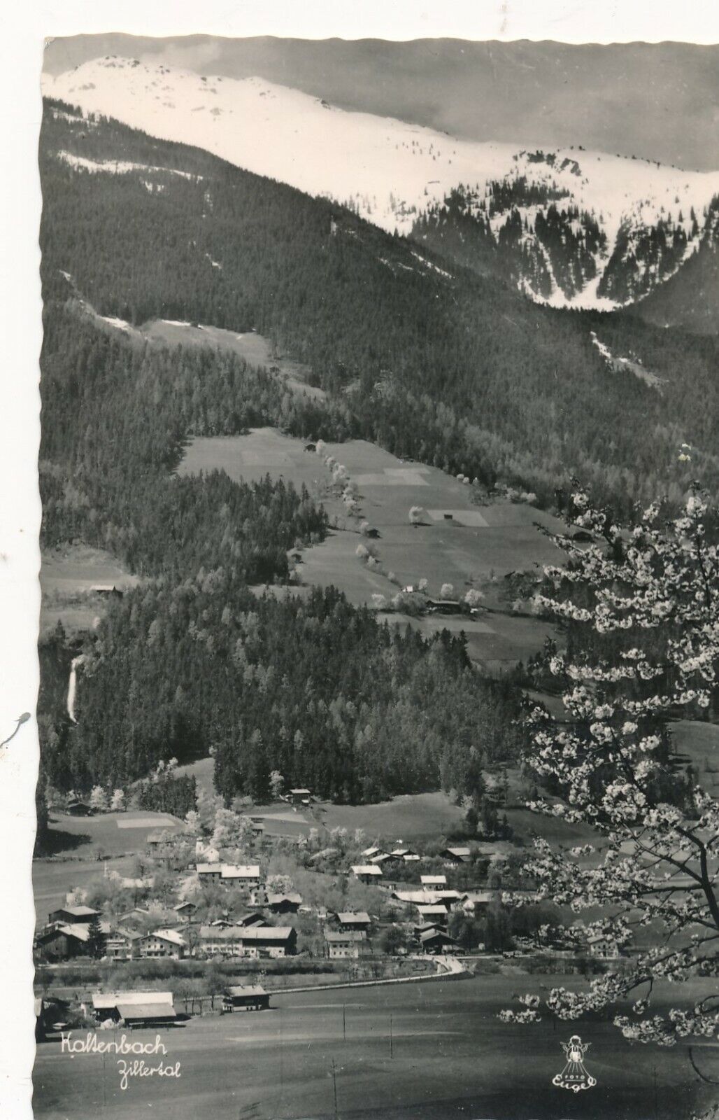 Kaltenbach Gesamtansicht 1